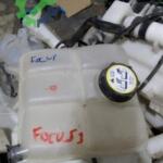 FORT FOCUS 3 CAM SU BİDONU
