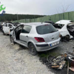 Peugeot 307 2023 Çıkma Tavan Sacı