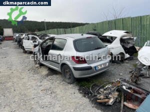 Peugeot 307 2023 Çıkma Tavan Sacı