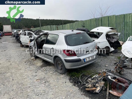 Peugeot 307 Tavan çıkma parça