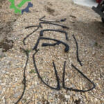 Jaguar X-Type 2000-2010 Çıkma Kapı Menteşesi