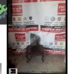 MERCEDES CRAFTER ESKİ KASA ARKA TAMPON SOL KÖŞE ORJİNAL ÇIKMA