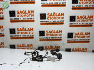 Renault Fluence Sağ Arka Kapı 241263318R Sökme Çıkma
