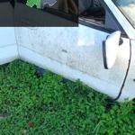 Mitsubishi Carizma 98/04 model ön kapı çikma orjinal