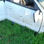 Mitsubishi Carizma 98/04 model ön kapı çikma orjinal