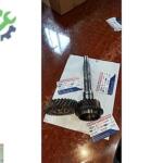 Nissan D 22 Prizdirek ve Karşılığı