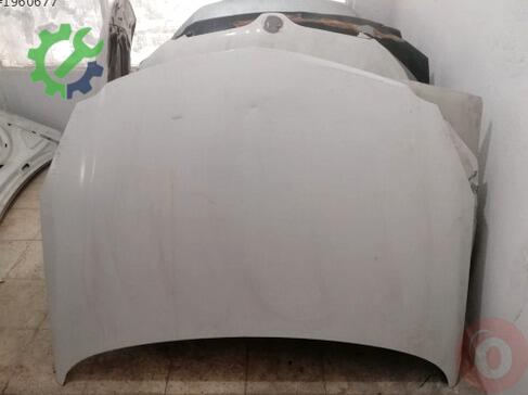 Opel Insignia Kaput çıkma parça