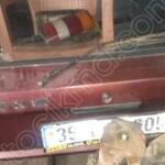 Arka Stop Opel Kadett Çıkma