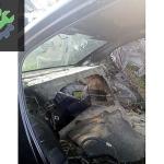 Volkswagen Passat Sağ Ön Kapı çıkma parça - SAYILI OTO HURDA İzmir