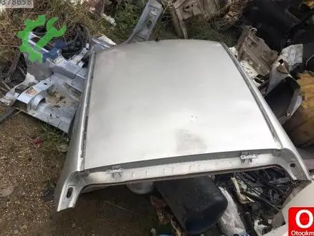 Peugeot 206 Tavan çıkma parça