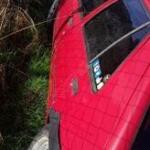 Peugeot 205 Orijinal Çıkma Kapı Camları