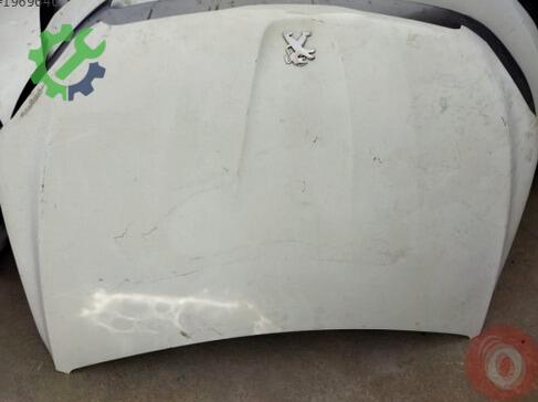 Peugeot 301 Kaput çıkma parça