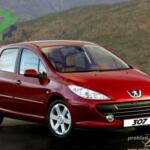 Diğer Peugeot 307 2018 Çıkma