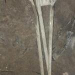 Renault R 21 Orijinal Çıkma Silecek Motoru