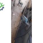 Çıkma Renault Megane Kapı