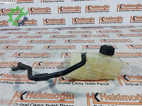 Renault Megane 217100005R çıkma parça