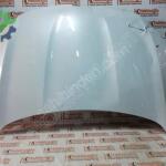 RENAULT MEGANE 4 656162489R MOTOR KAPUTU ORJİNAL LOKALLİK SEDEFL