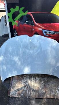 Renault Megane Kaput çıkma parça
