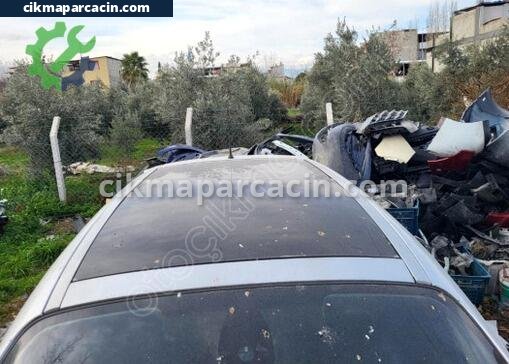 Renault Scenic Cam Tavan çıkma parça