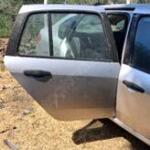 Renault Clio 2008 Çıkma Sağ Arka Kapı