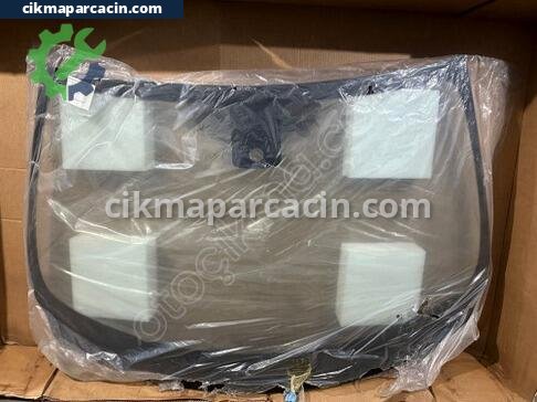 Renault Talisman Ön Cam çıkma parça