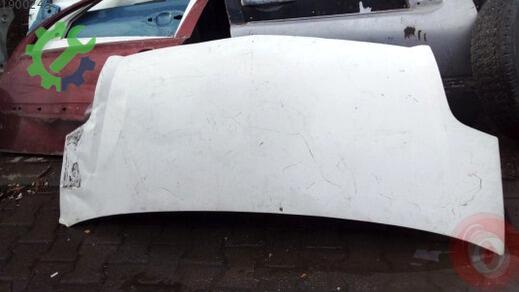 Renault Trafic Kaput çıkma parça