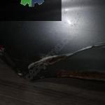 Renault Trafik Çıkma Orjinal Sol Ön Çamurluk