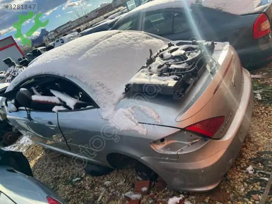 Peugeot 307 Arka Cam çıkma parça