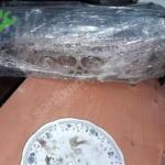 Tofaş Doğan Motor Kapağı Çıkma