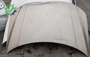 Volkswagen Tiguan 2015 Çıkma Kaput No 3592359 (2. Adet)