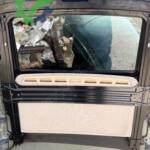 Volvo S80 2000-2016 Çıkma Sunroof