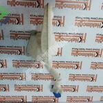 VW VOLKSWAGEN AUDI SEAT SKODA CAM SU BİDONU 5Q0 955 453 5Q0
