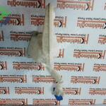 VW VOLKSWAGEN AUDI SEAT SKODA CAM SU BİDONU 5Q0 955 453 5Q0 95