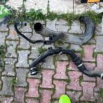 WHATSPATAN siparişler ford kugu hortum