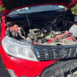Suzuki Vitara 2019 Çıkma Motor Komple