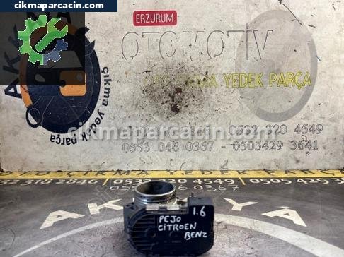 Citroen C2 Gaz Kelebeği çıkma parça