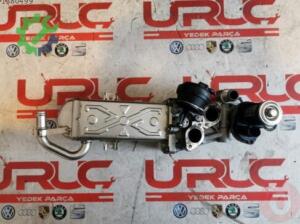 EGR Valfi Volkswagen Passat 2021 Çıkma 03L131512CF