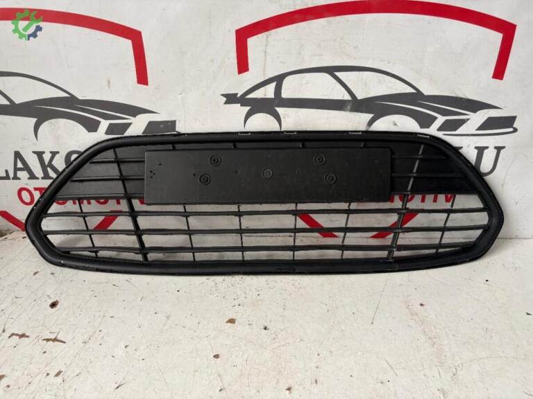 Ford Focus Tampon Izgarası çıkma parça