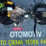 180029347R Clio 4 Gaz Pedalı Çıkma Orjinal