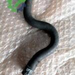 Volkswagen Golf Intercooler 1K0130307C Sökme Çıkma