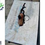 2002 PEUGEOT PARTNER YEDEK SU DEPOSU -ÖZEREN OTOMOTİV-