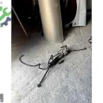 2003 PEUGEOT PARTNER DİREKSİYON KUTUSU – ÖZEREN OTOMOTİV-