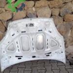 2006-2017 fiat linea motor kaputu