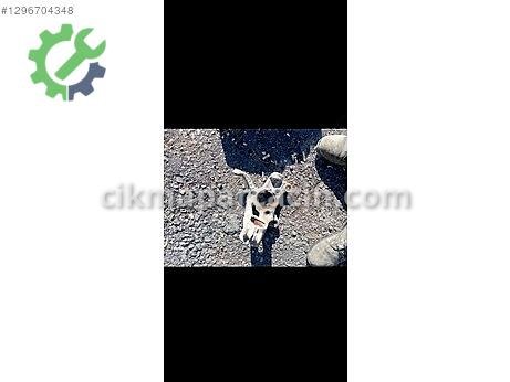 Seat Leon Taşıyıcı/Aks Taşıyıcı çıkma parça