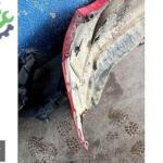Çıkma Seat Leon Tampon