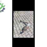 Opel Vivaro Taşıyıcı Çıkma Parça Van