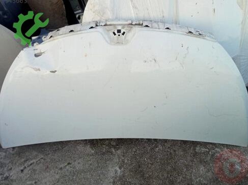 Renault Trafic Kaput çıkma parça