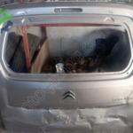 2019 2025 Citroen Berlingo arka bagaj kapağı