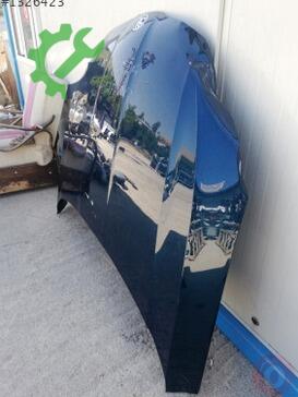 Skoda Octavia Kaput çıkma parça
