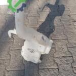 2024 2026 Ford courier silecek su deposu